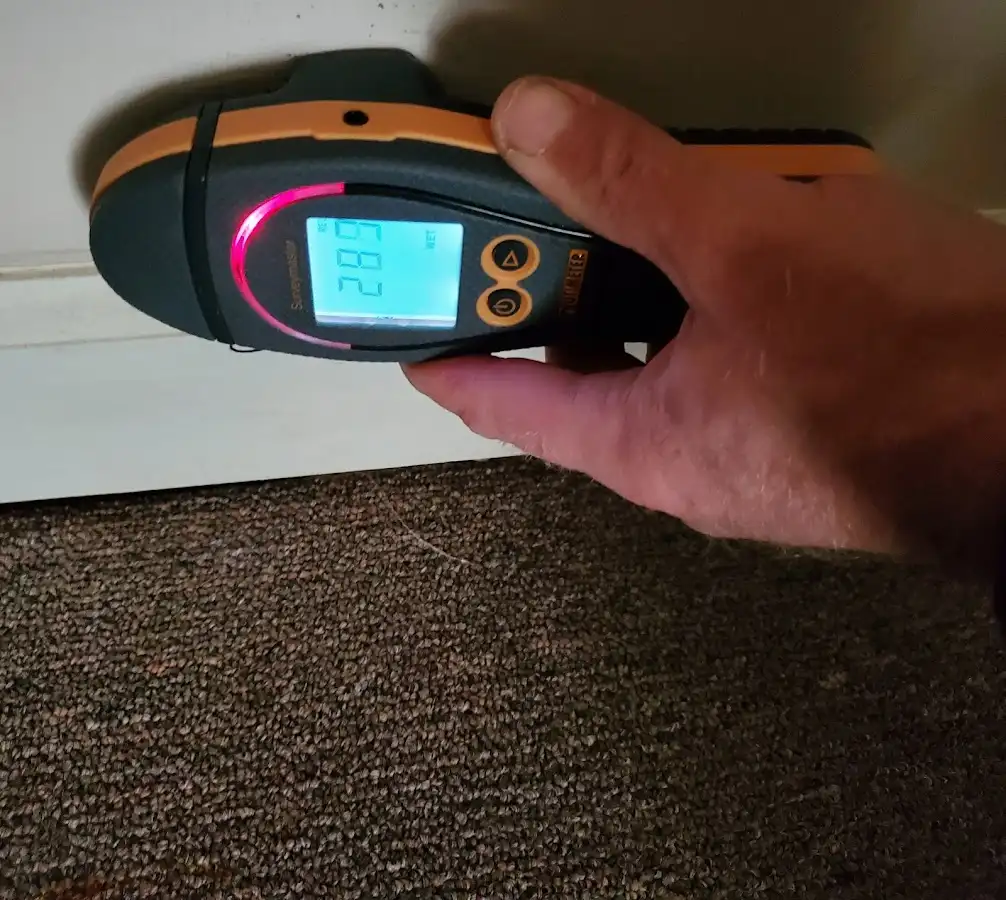 Moisture detection at baseboard during Sewage Cleanup & Sanitation in Natchez